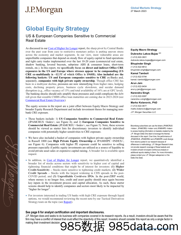 JPMorgan-Global Equity Strategy   US  European Companies Sensitive