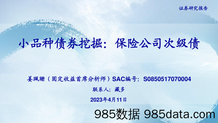 小品种债券挖掘：保险公司次级债-20230411-海通证券