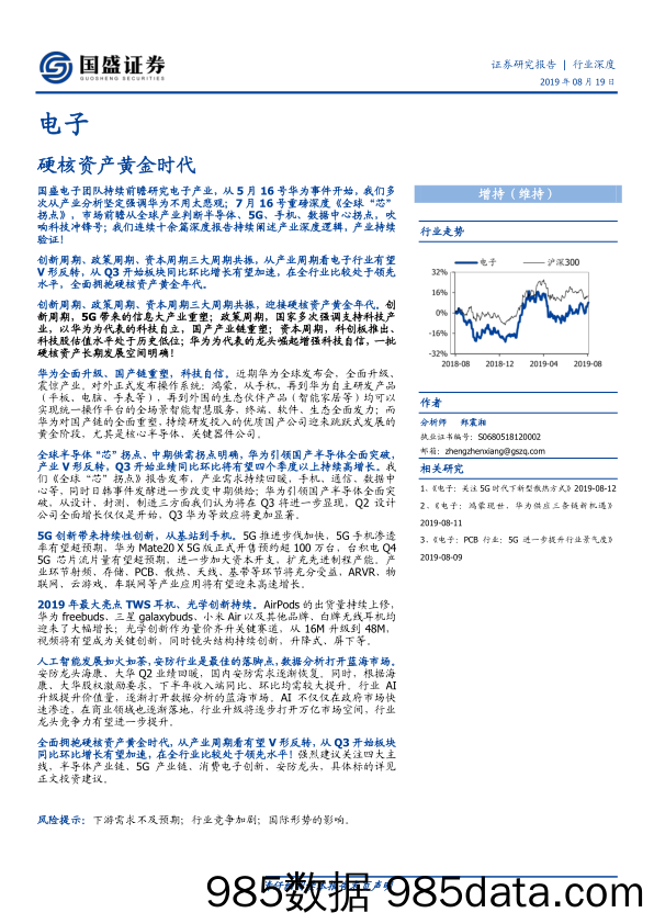 电子行业：硬核资产黄金时代-20190819-国盛证券