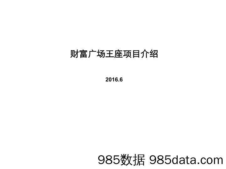 【地产】财富广场王座项目说明.商业计划书