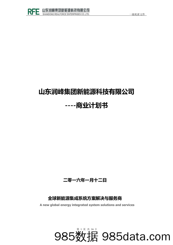 【能源】山东润峰集团新能源.商业计划书