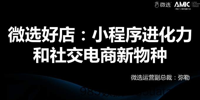 微选好店：小程序进化力和社交电商新物种_弥勒-2018.4.26