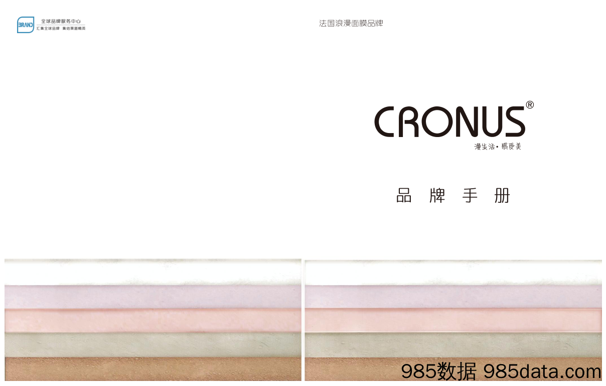 CRONUS产品册12 (NXPowerLite 复本)(1)