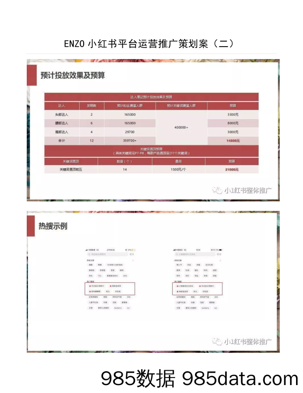 【小红书推广技巧】ENZO小红书平台运营推广策划案（二）